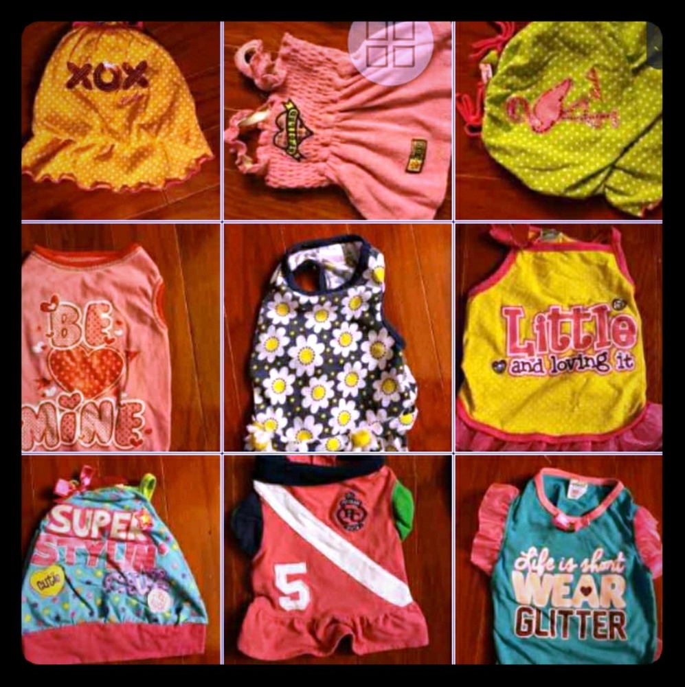 Girl Dog Clothes